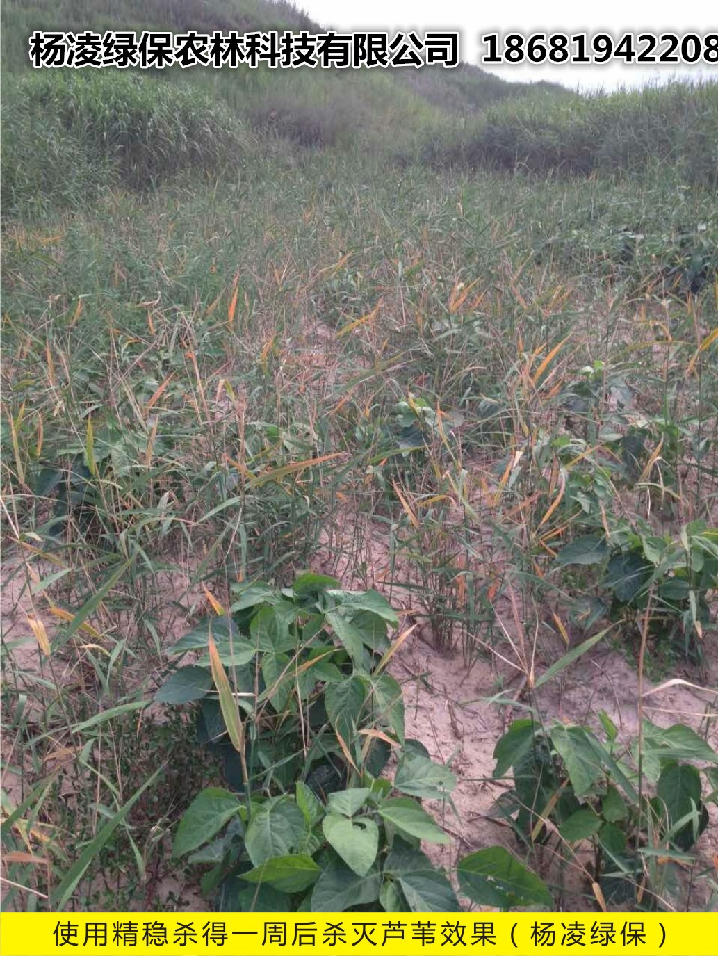 �������ó��݄�ʹ��Ч��