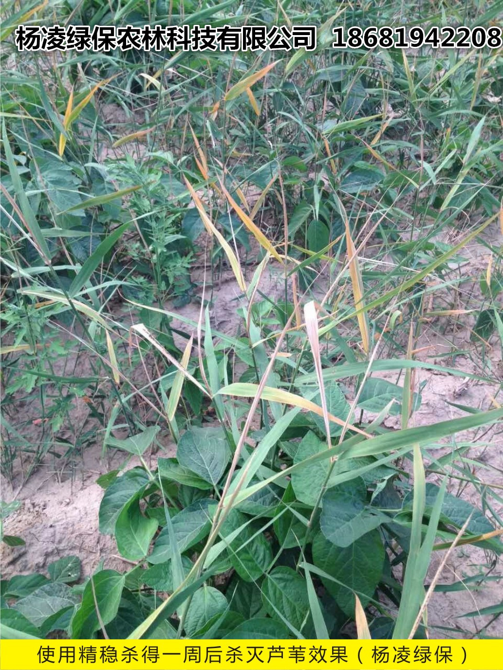 ���݄�ʹ��Ч��